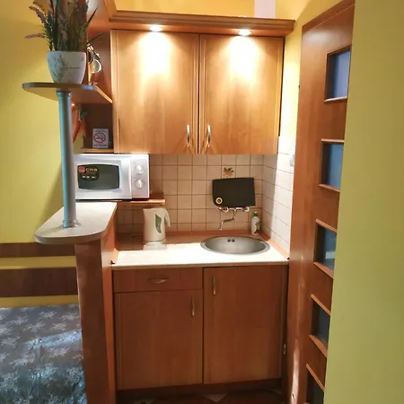 Apartment Wczasowa 1 C *